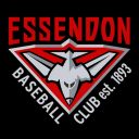 Essendon Baseball Logo